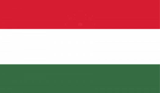 Legal advice regarding obtaining Hungary work permit